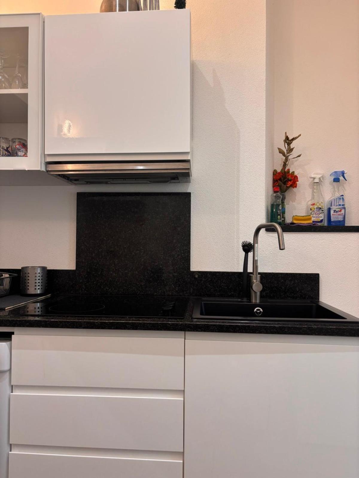 Apartment Alina Lamone エクステリア 写真