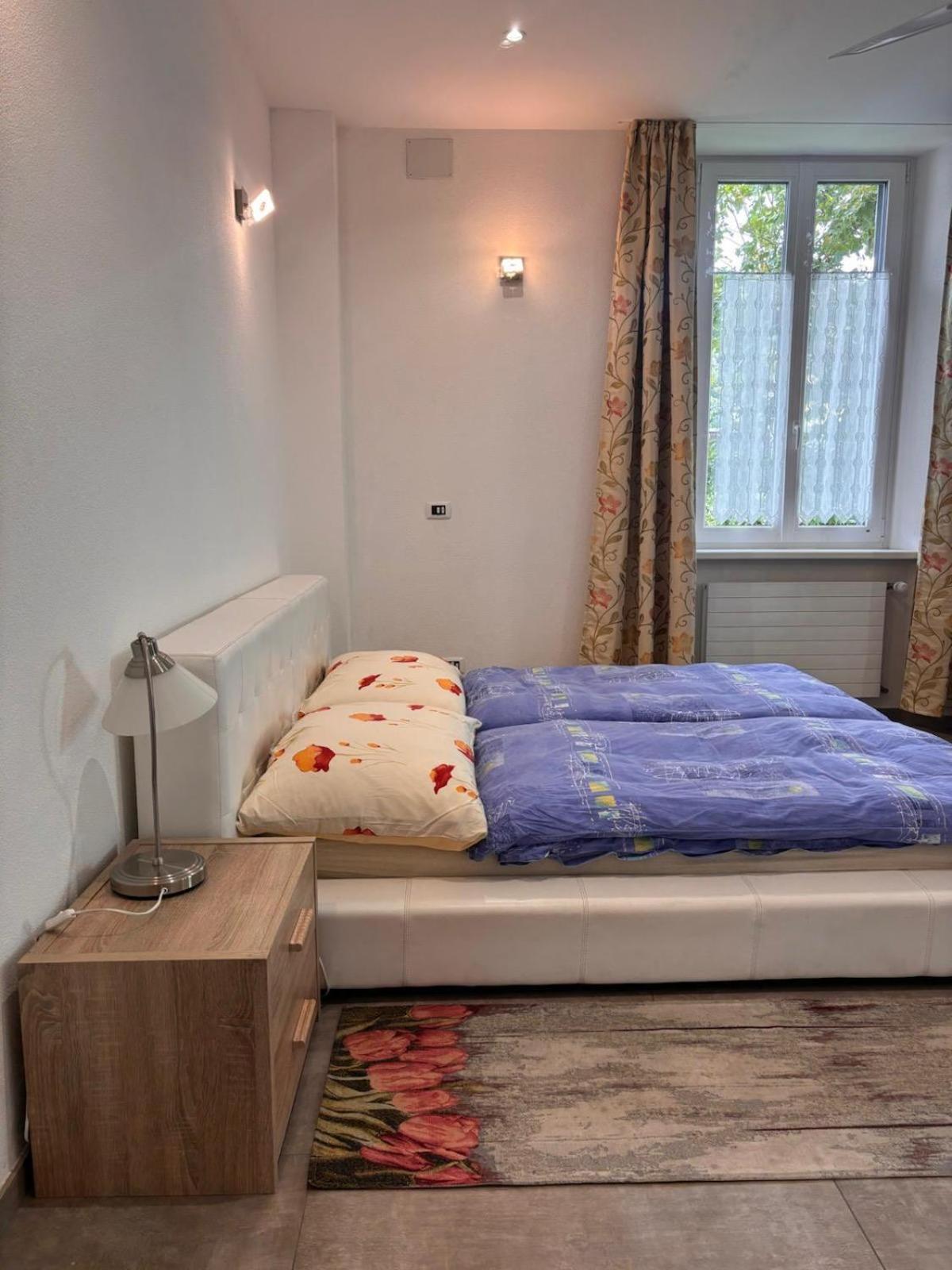 Apartment Alina Lamone エクステリア 写真
